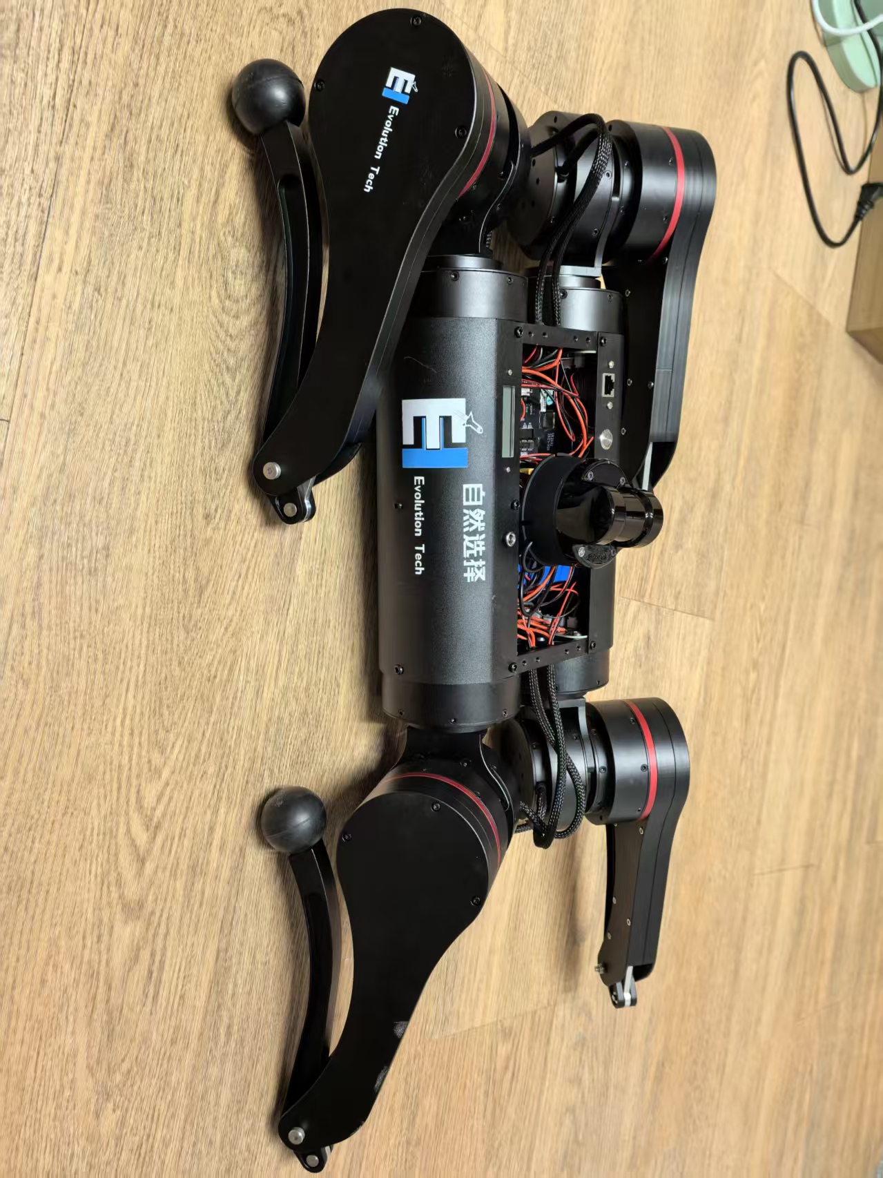 Q1 quadruped robot 1