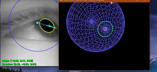 Eye tracking monitoring
